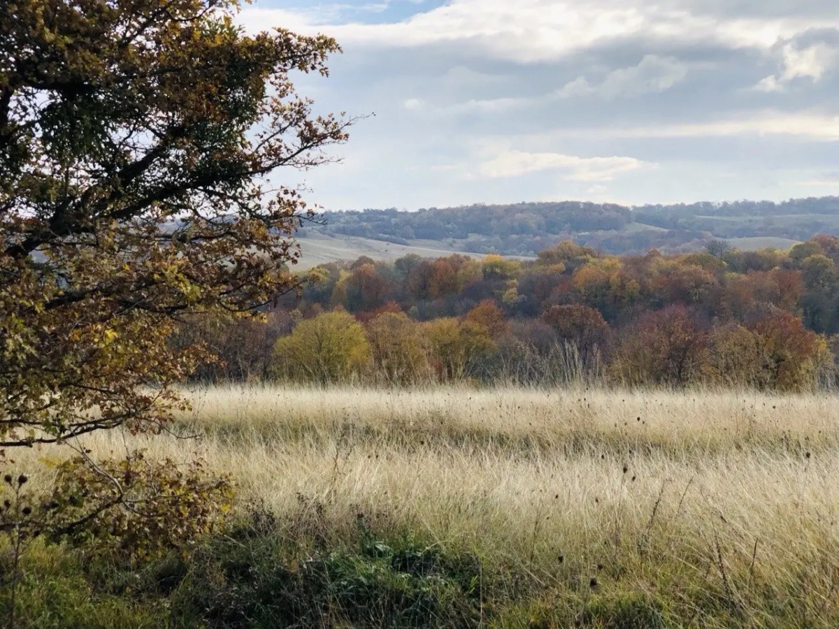 Частный дом Дизайнерский Барнхаус