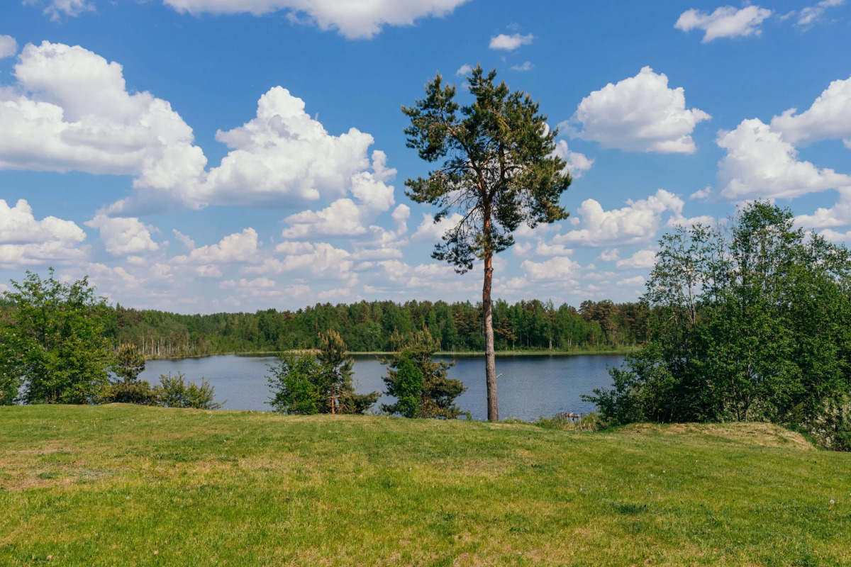 Частный дом Reo Rest дом Звёздное небо