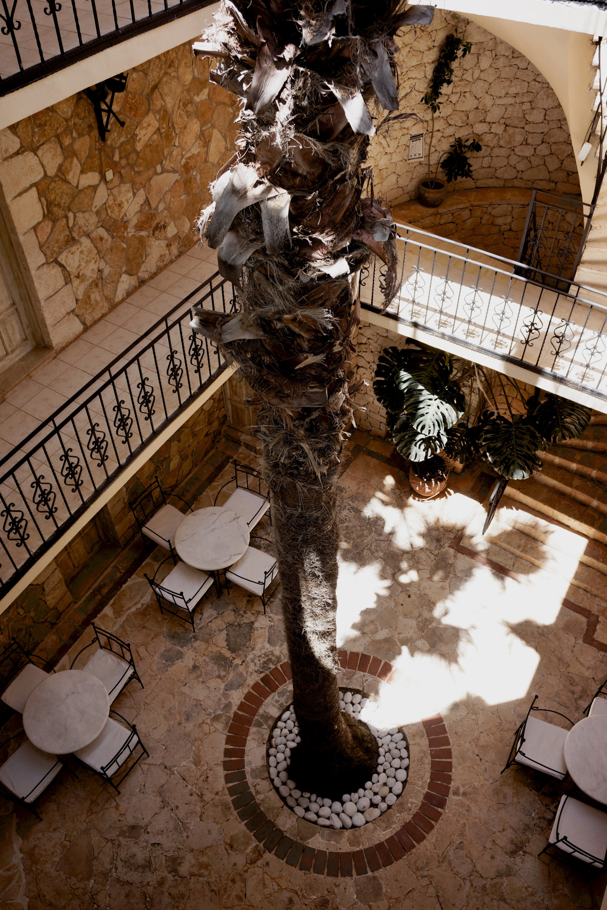 Отель Villa Tamara