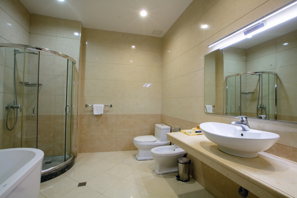 Отель Shah Palace