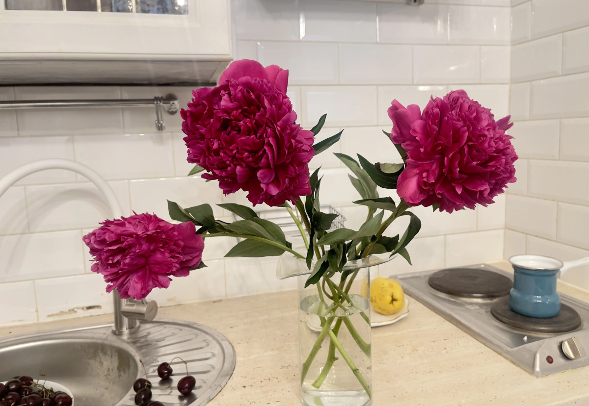 Апартаменты Слонъ на Загородном