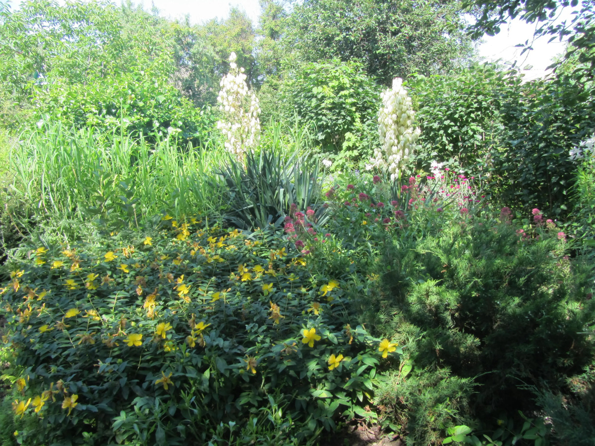 Пансионат Крымские Дачи