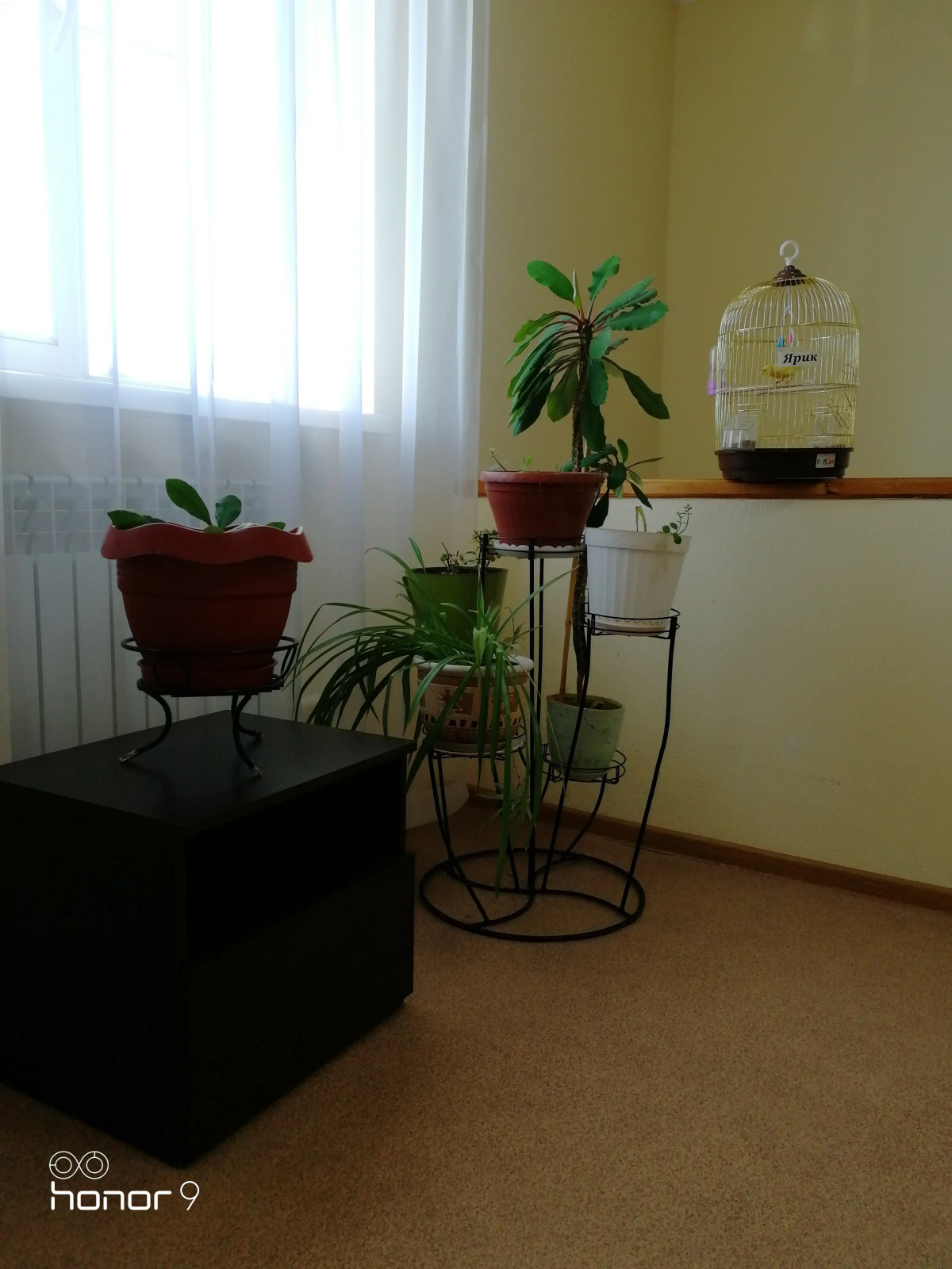 Гостевой Дом Ревиталь