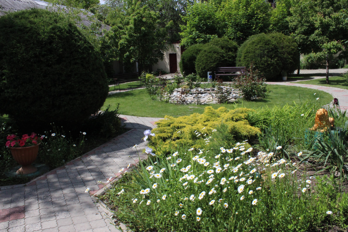 Отель Золотой Лев