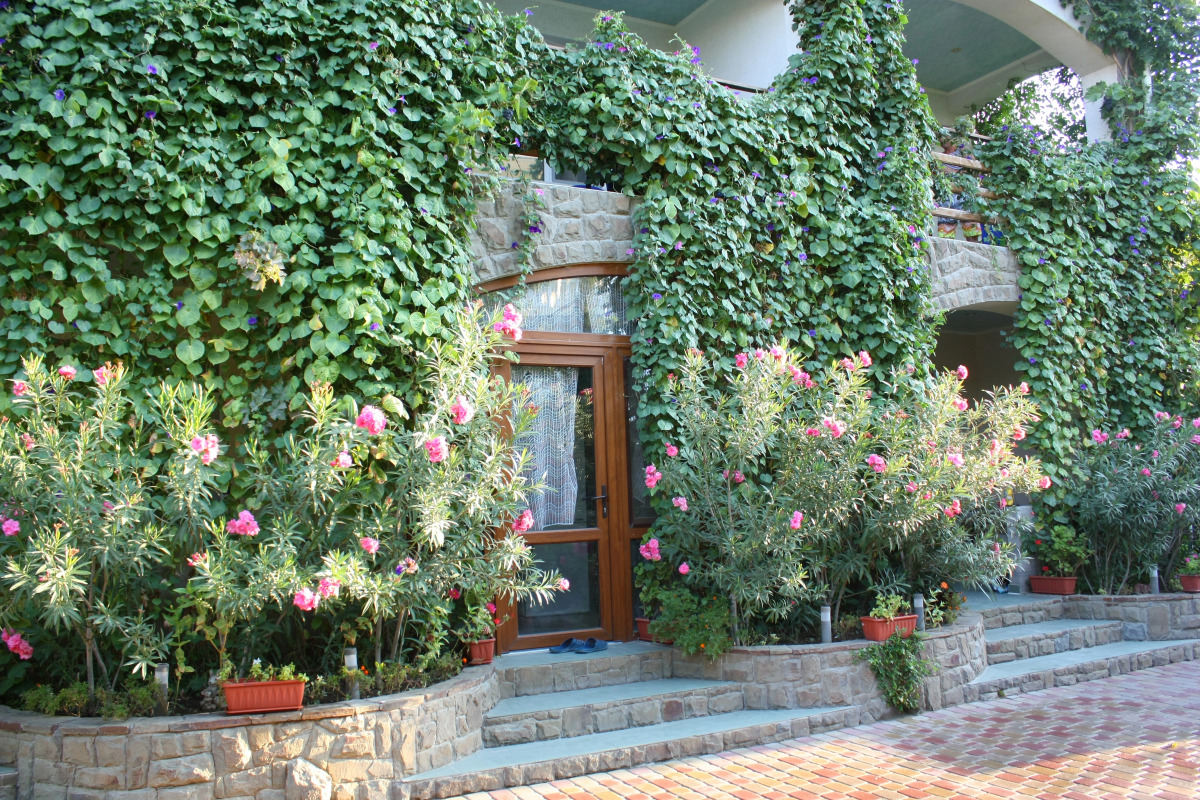 Гостевой дом Бунгало у Романа