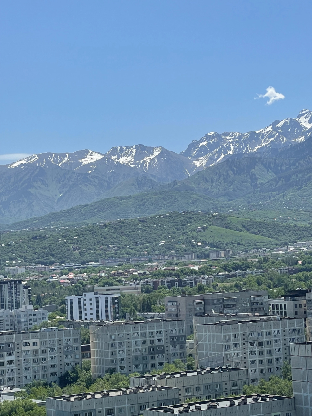 Апартаменты Любимая в ЖK  4YOU на пр. Гагарина 255