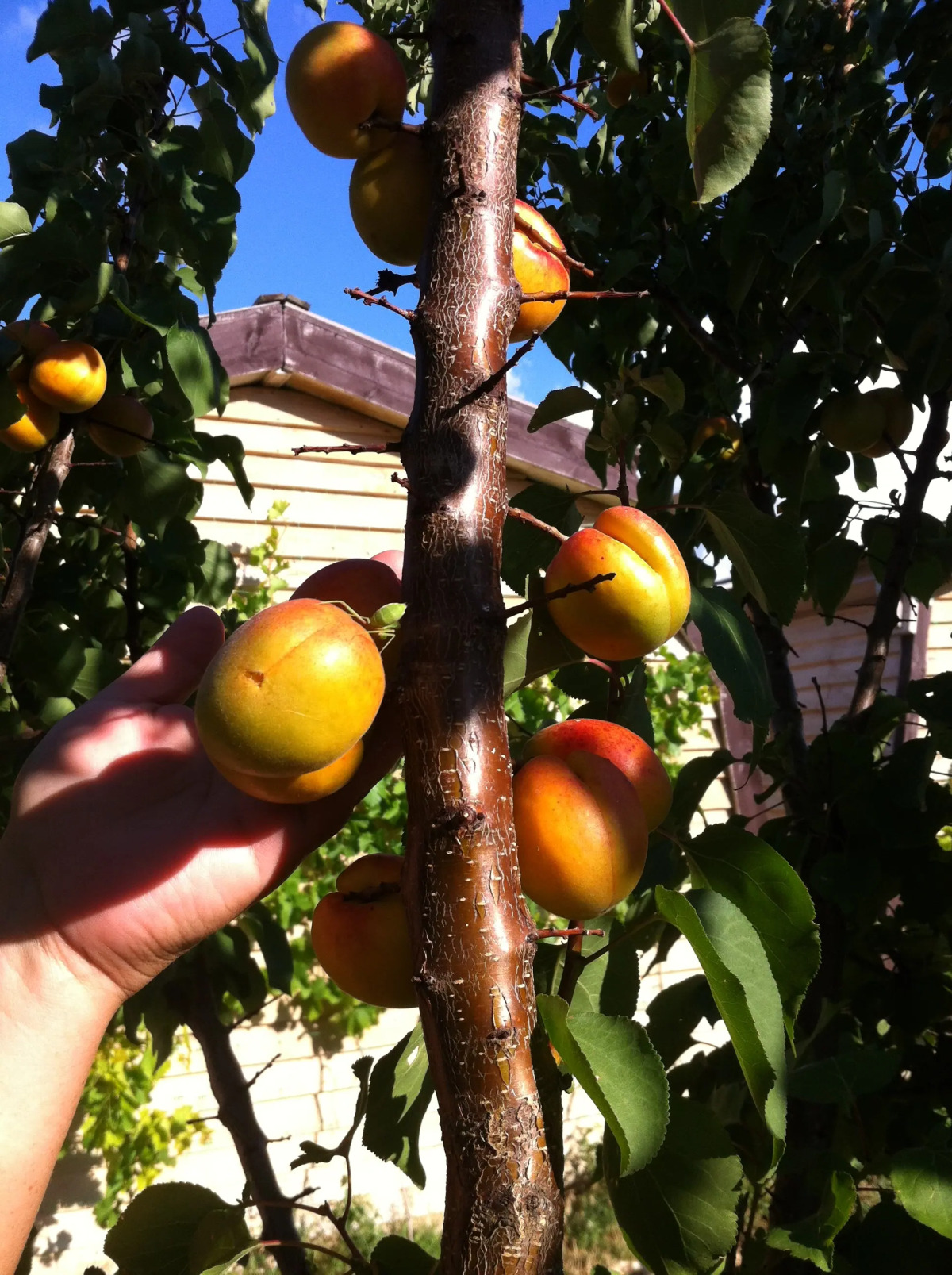 База Отдыха Эко Курорт Морское