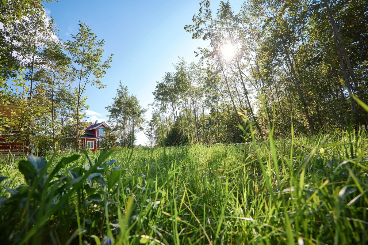 База отдыха ВЛ