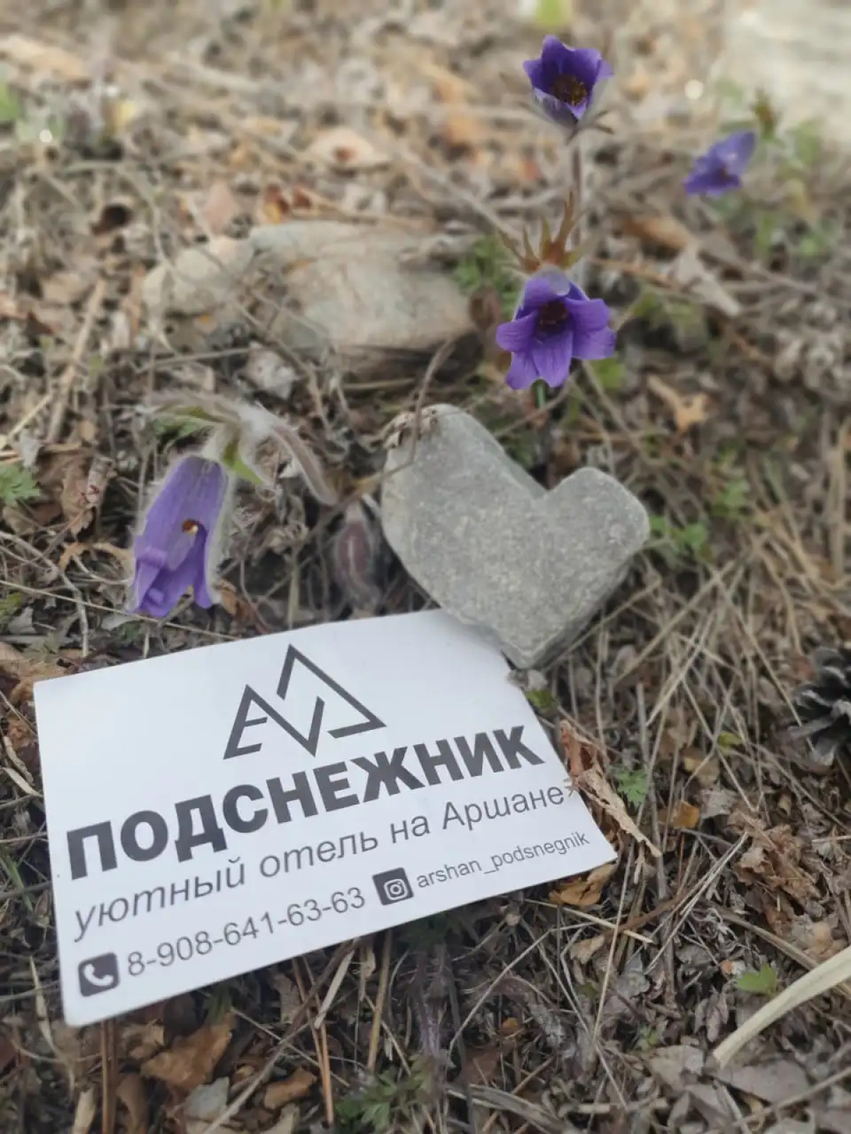 Мини-отель Подснежник