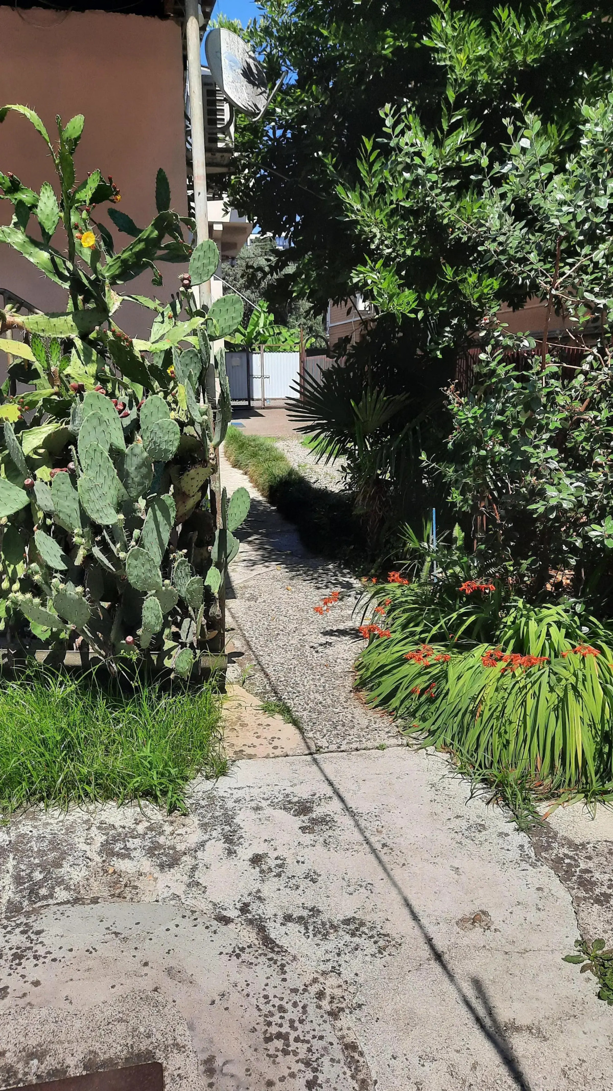 Жилое помещение Bamboo Garden