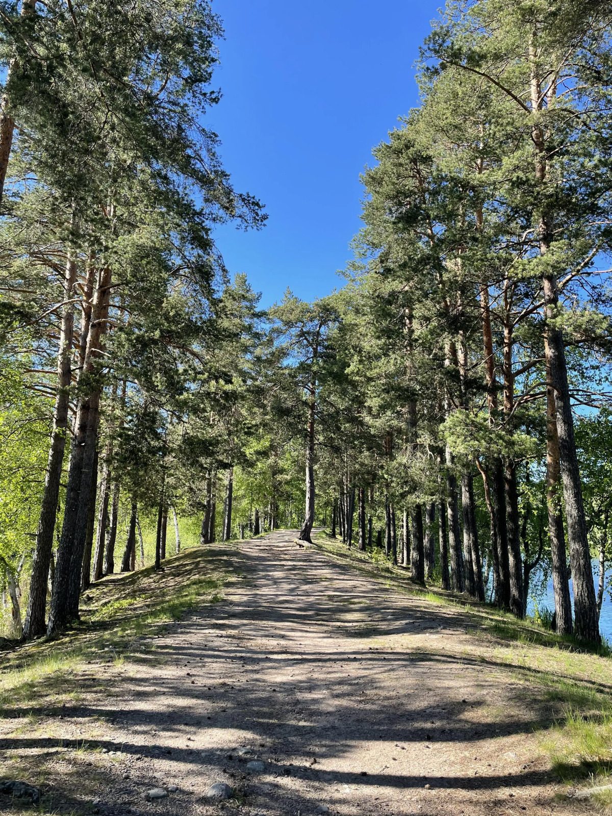 Дом Соловьевка Villa