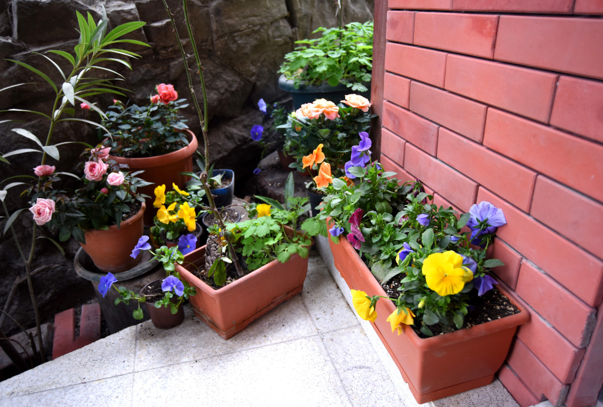 Апартаменты Old Vera