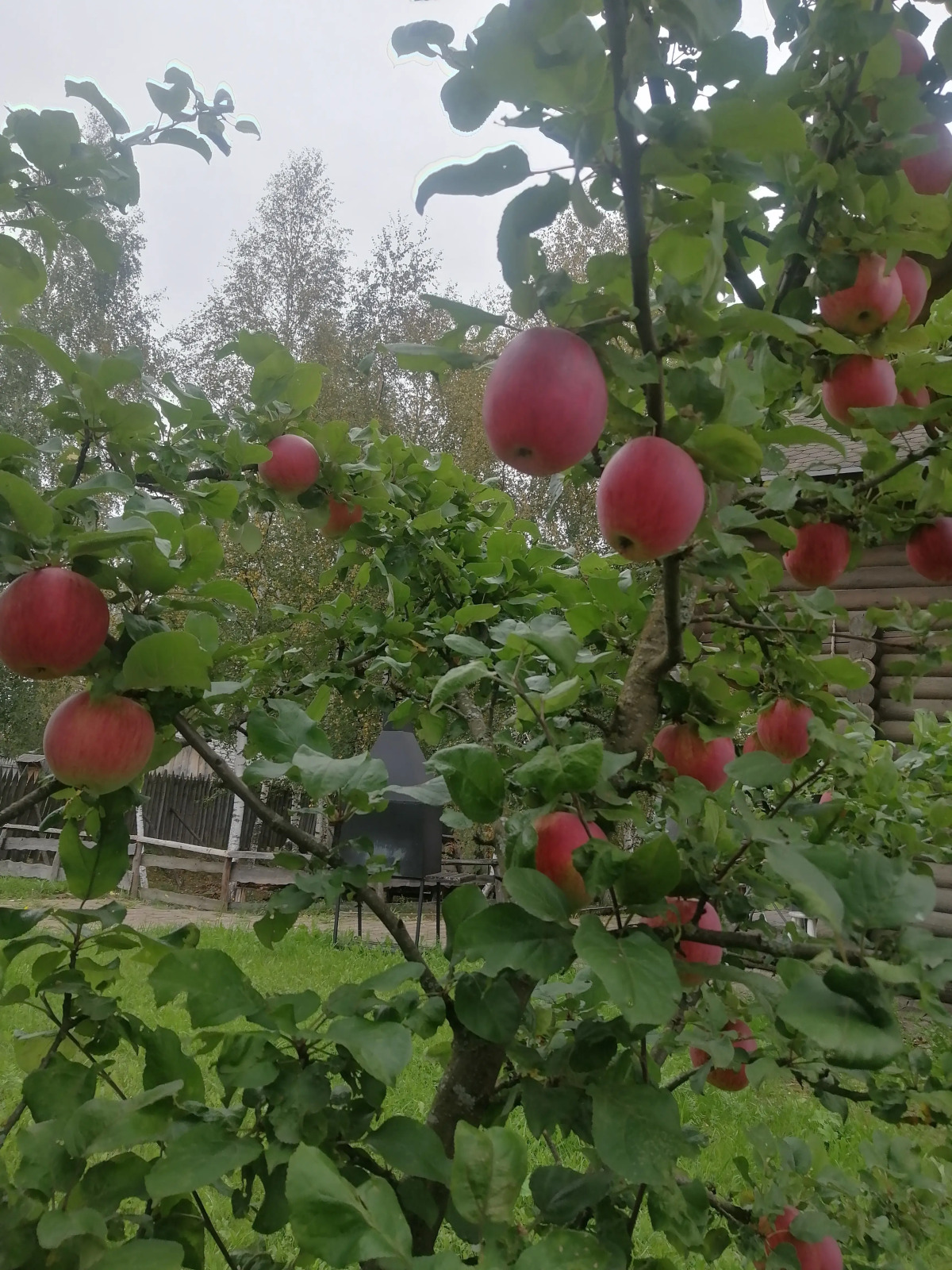 Гостевой дом Окулова Заимка