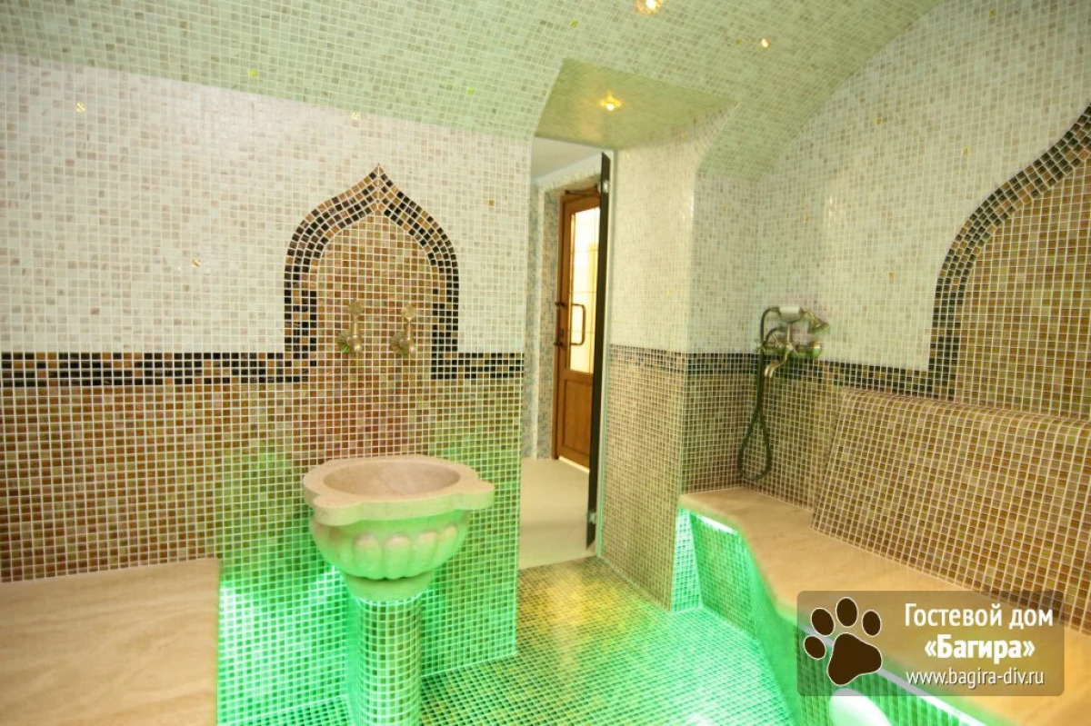 Отель Багира