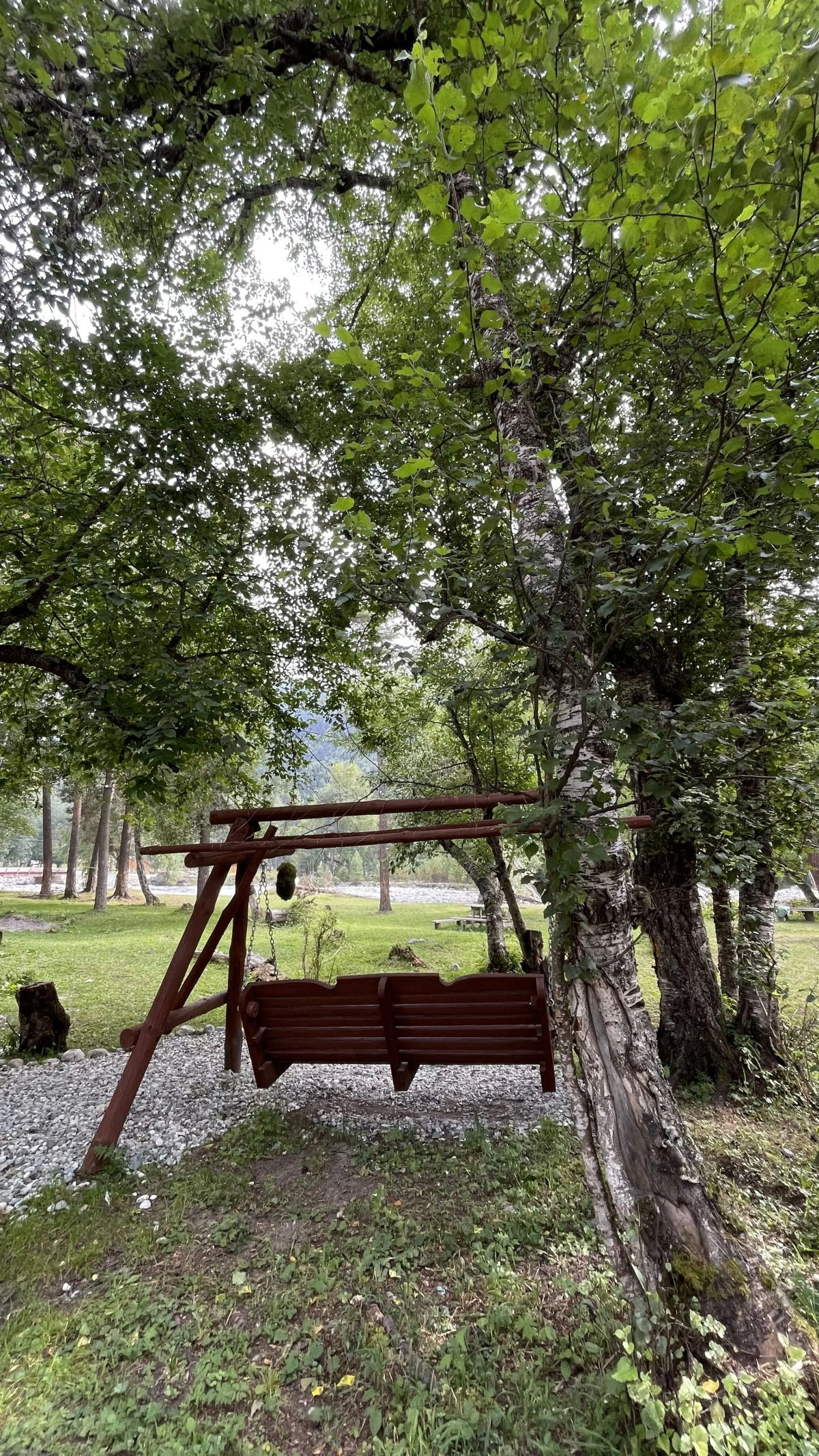 Гостевые дома Шишка