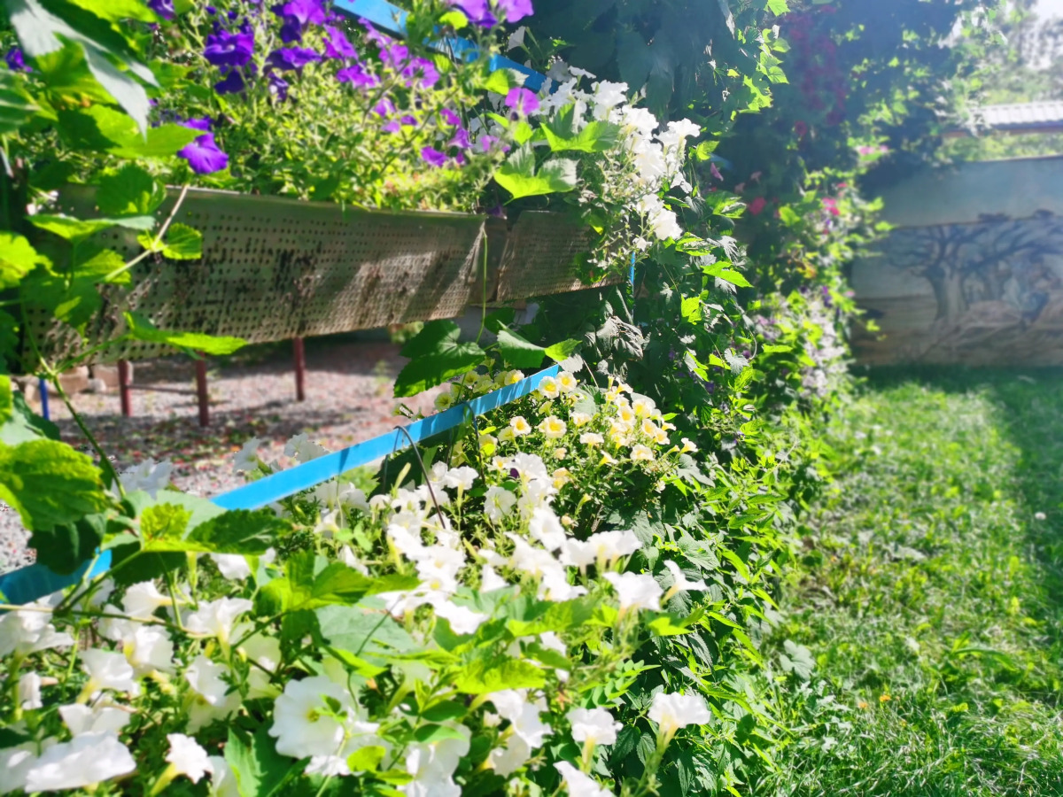 Гостиница Имидж