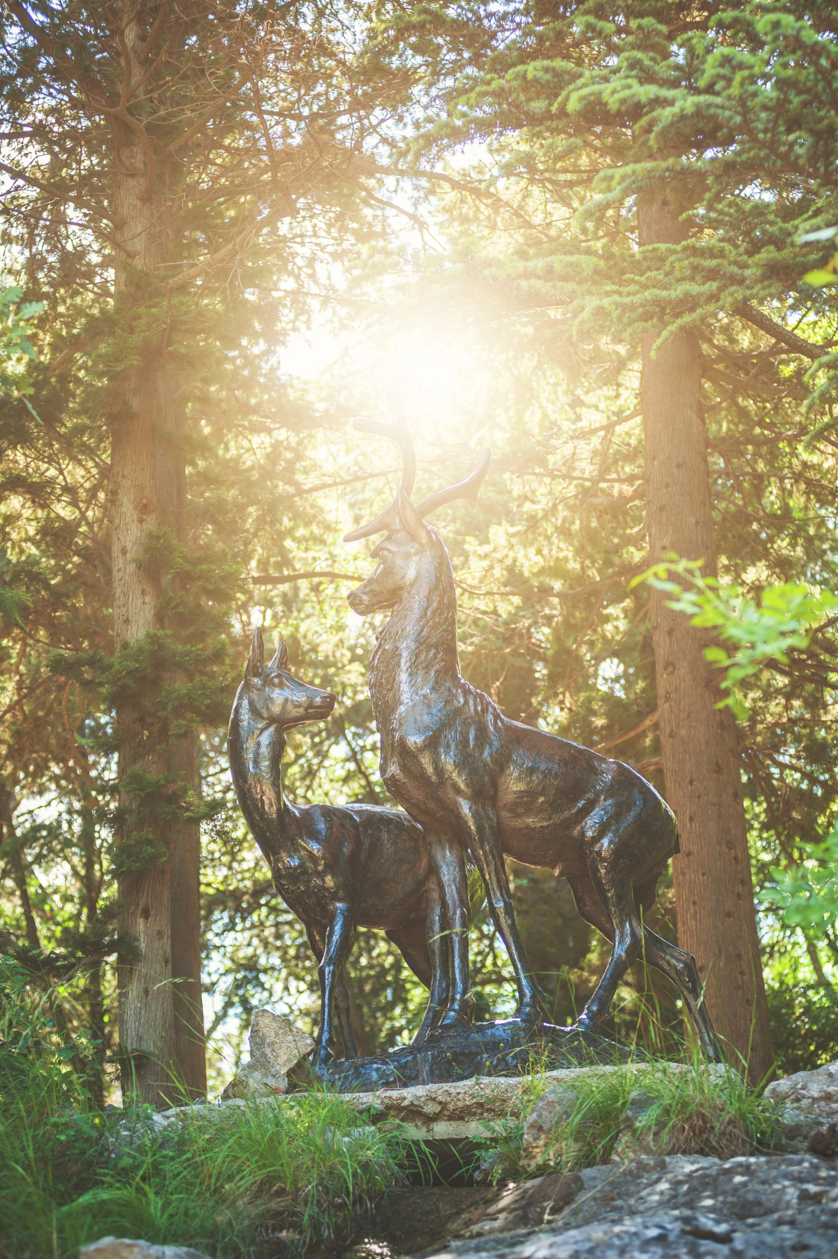 Санаторий Foros Wellness & Park