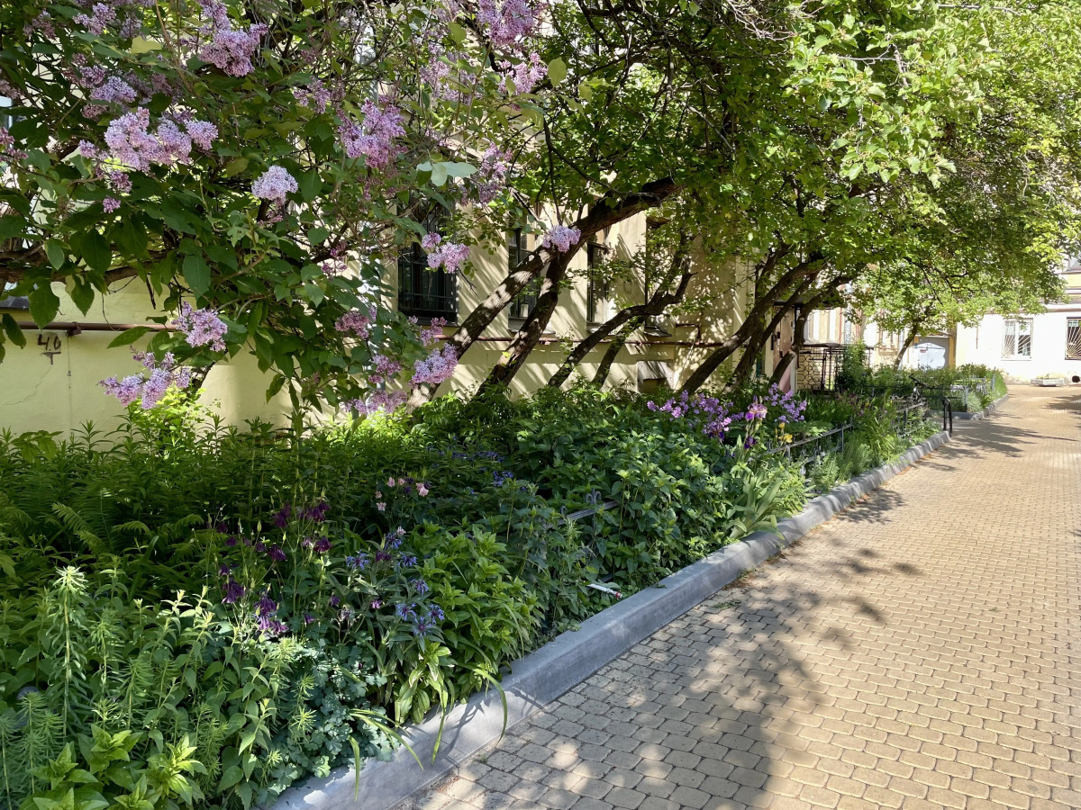 Апартаменты С Видом на Неву и Литейный Мост