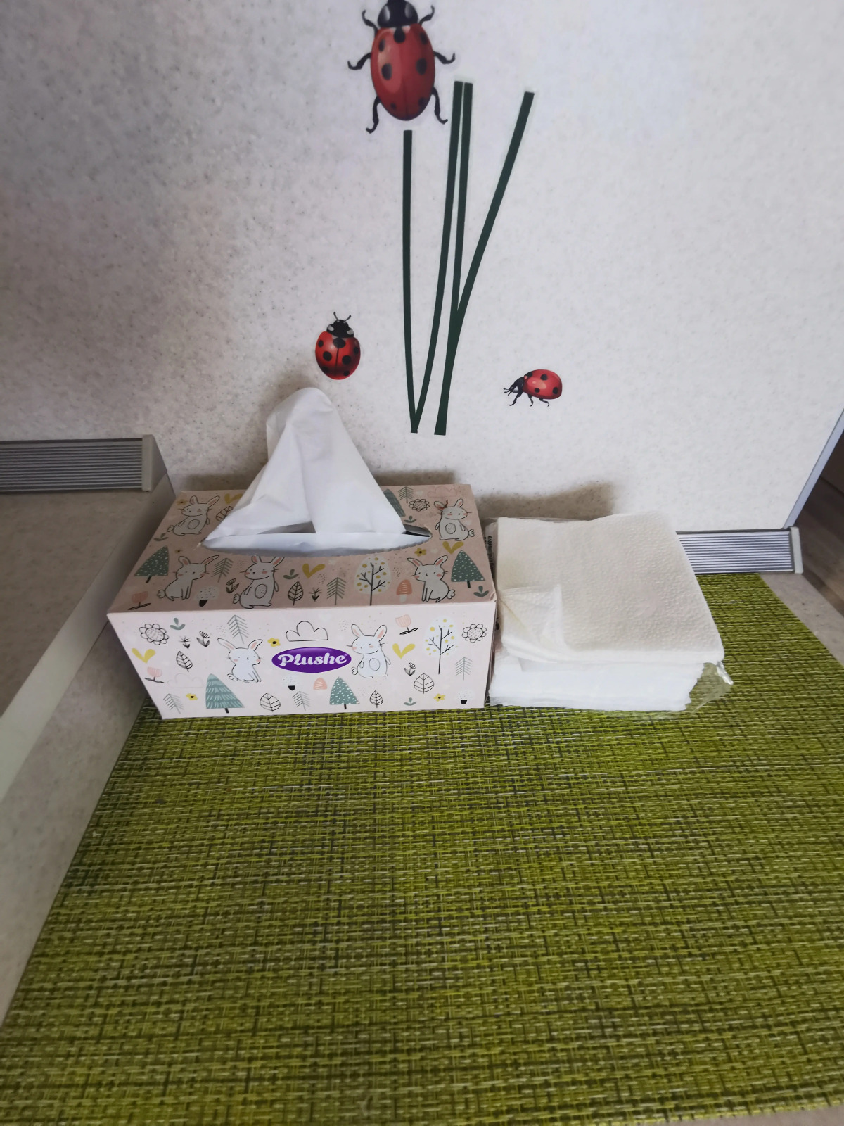 Апартаменты в Парковом В Центре Северо-запада