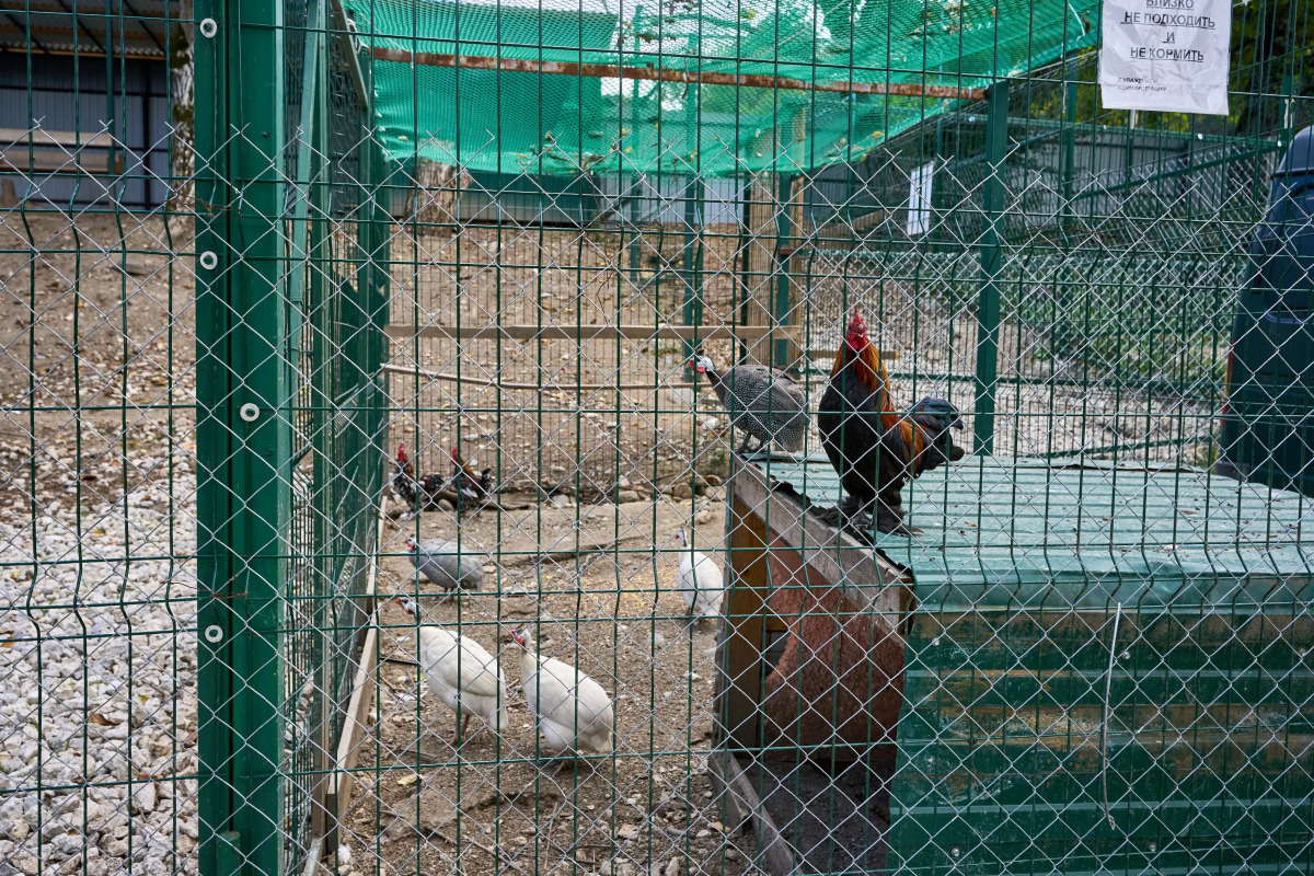 База отдыха Белла