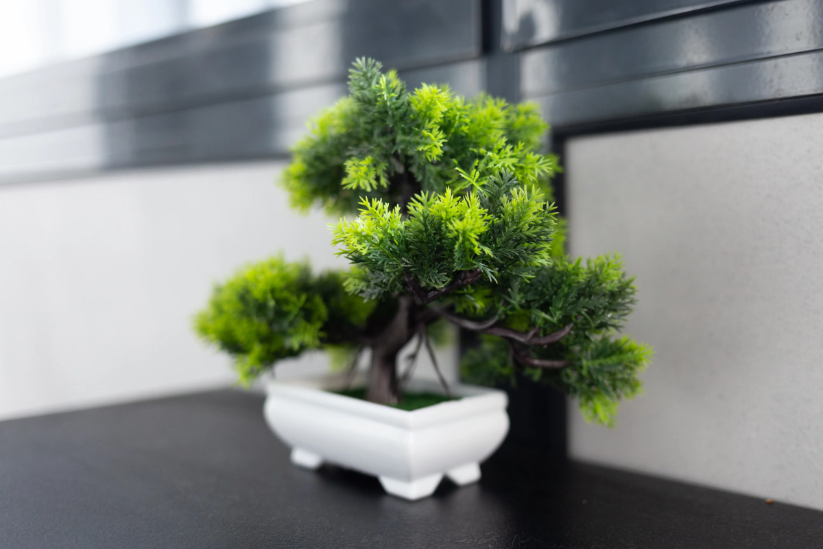 Апартаменты Room-Room Январский