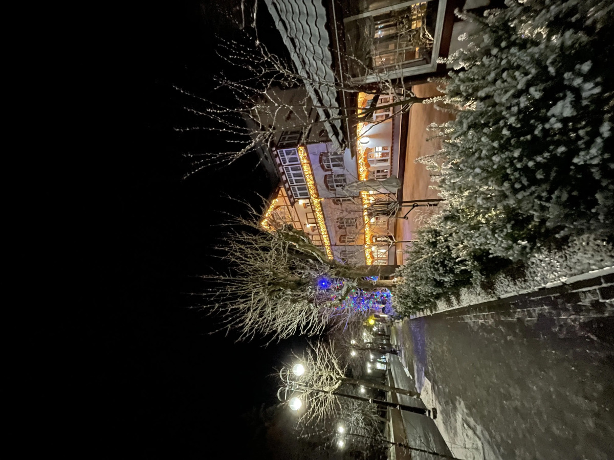 Апартаменты Раушен-Апарт