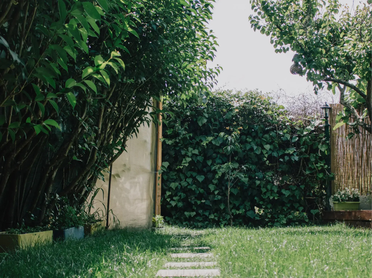 Отель Ağva Marina