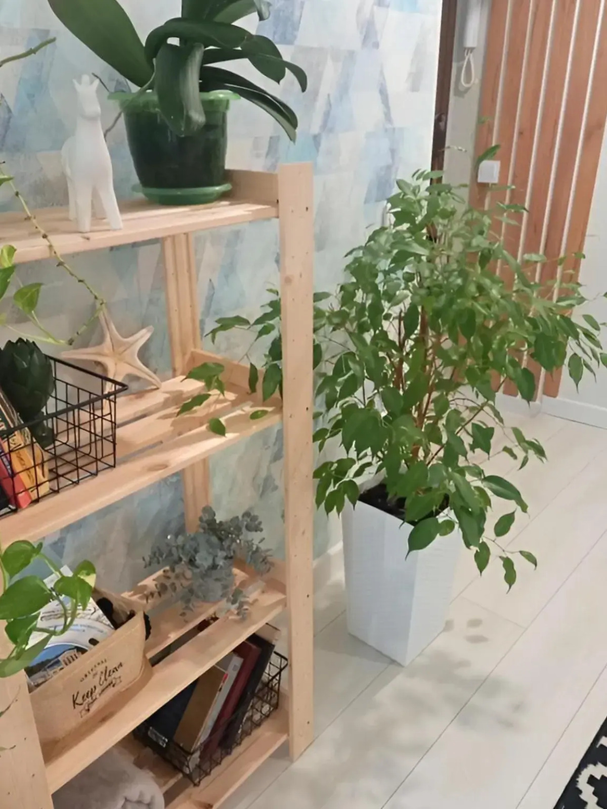 Квартира DeLuxe