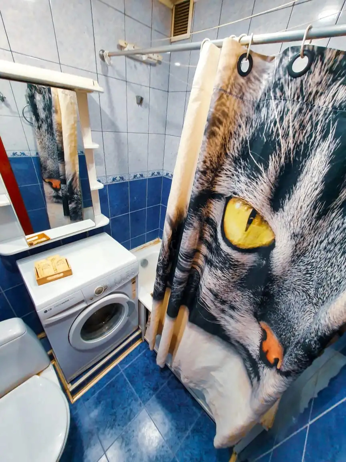 Апартаменты Толстого 10