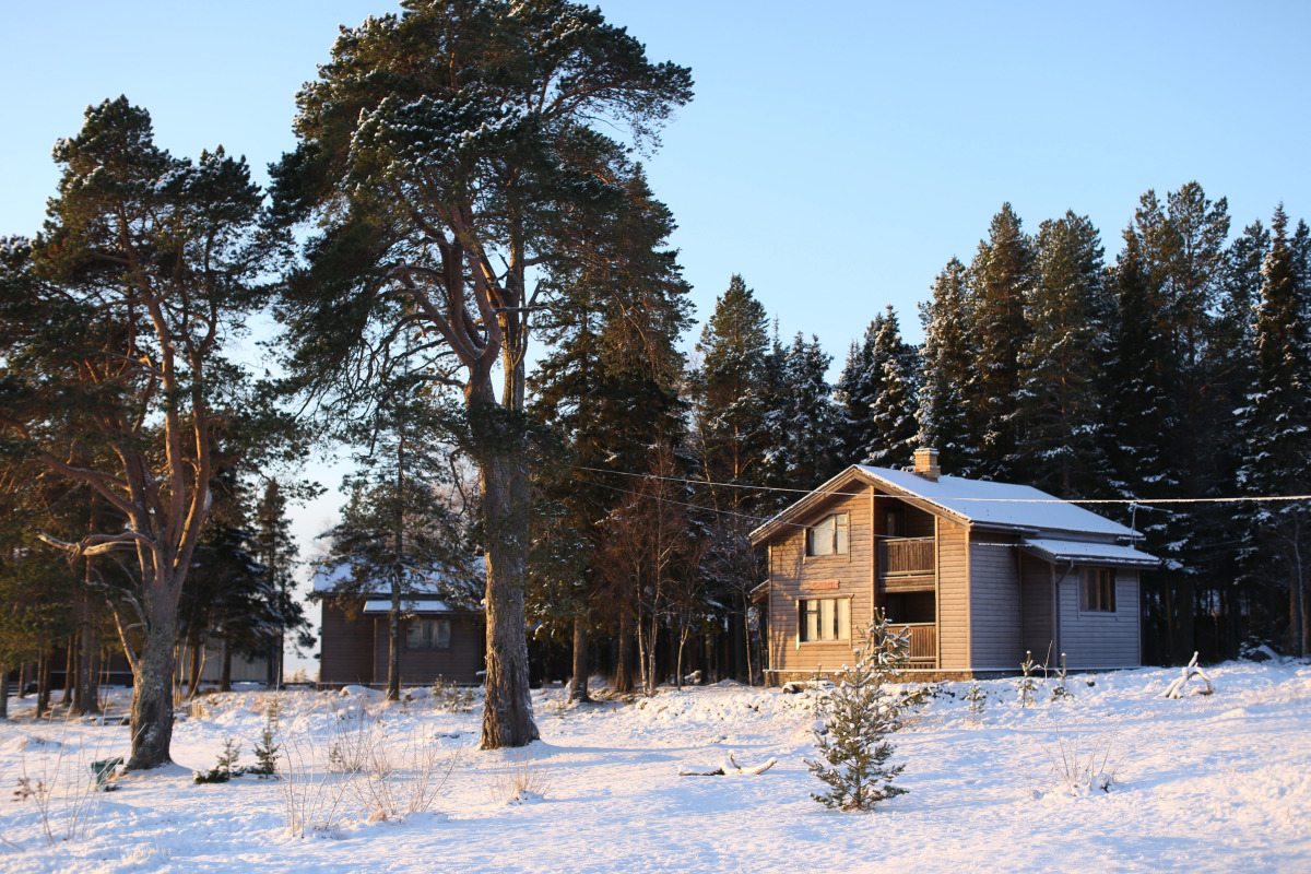 Отель Cedar Grass Белое Море