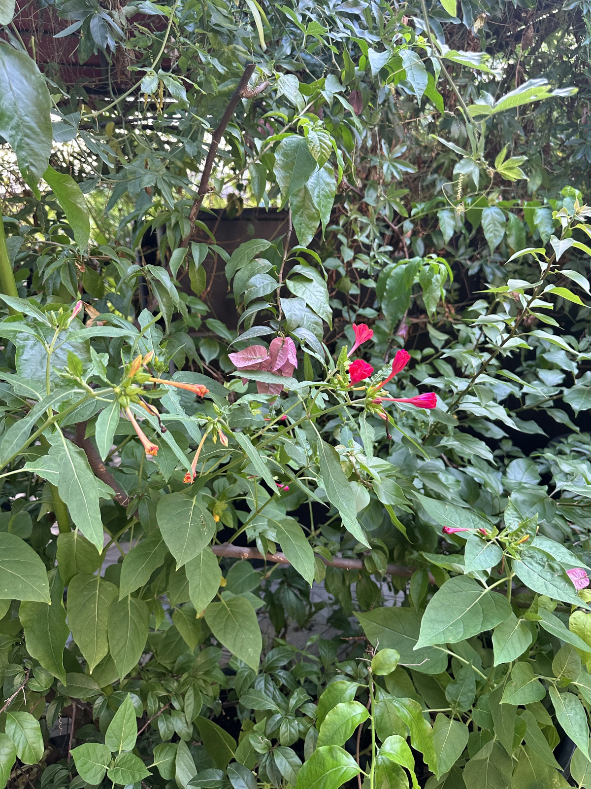 Гостевой дом Морская сказка