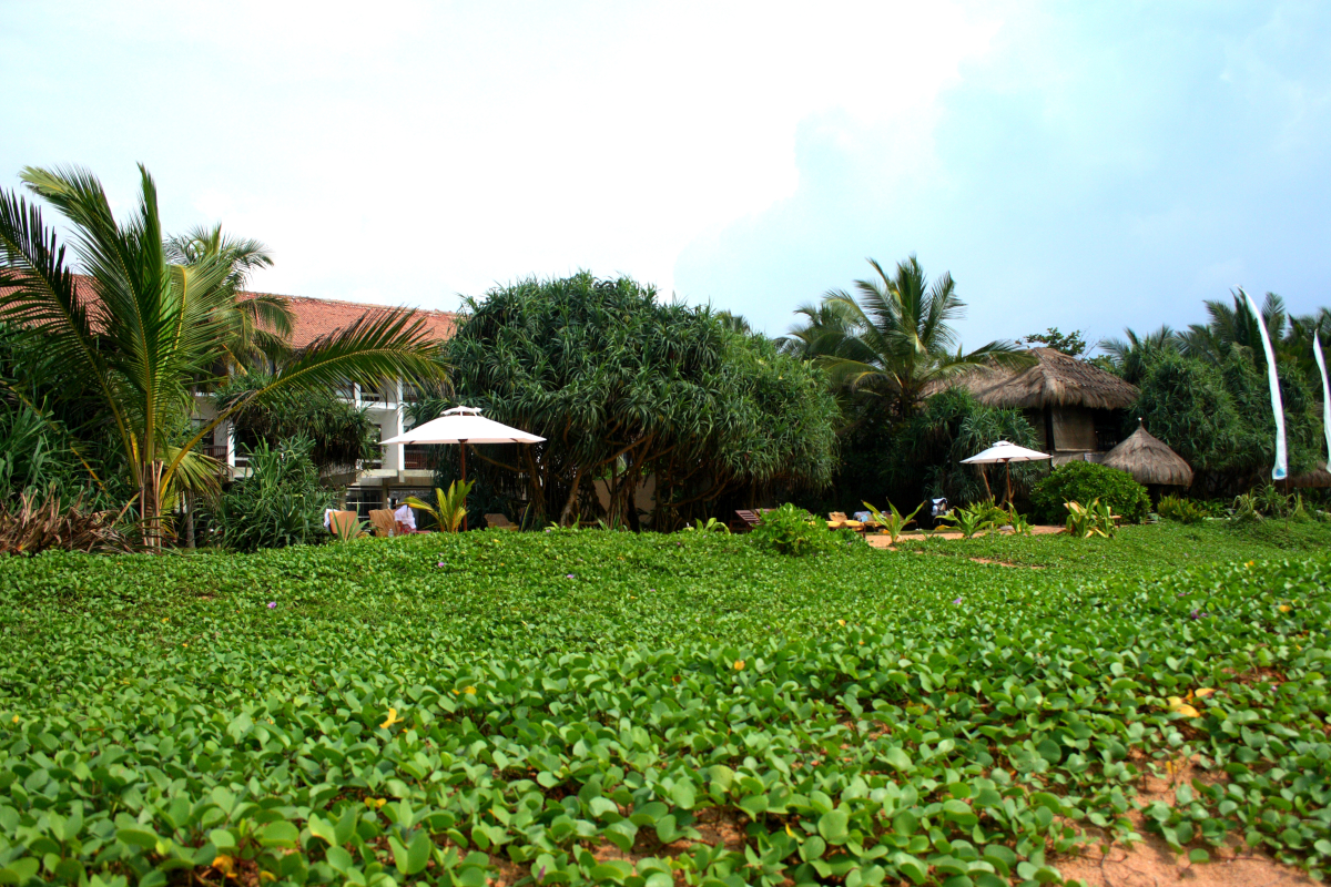 Отель Temple Tree Resort & Spa