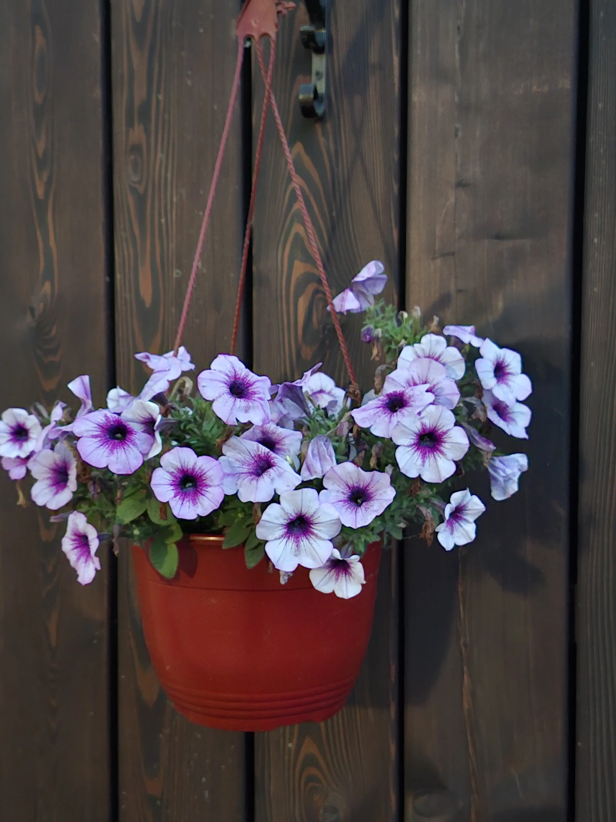 Глэмпинг Солнце, воздух и вода