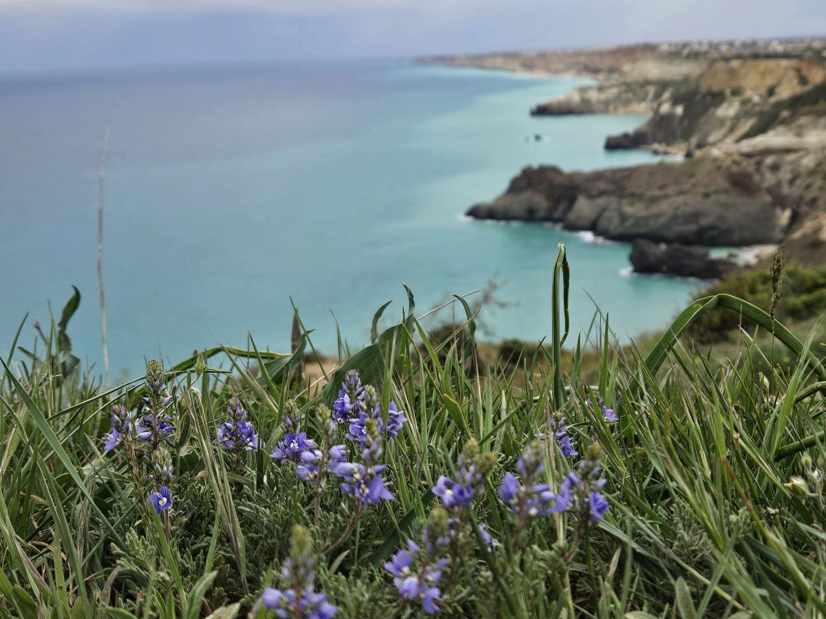 Апартаменты 2 на мысе Фиолент