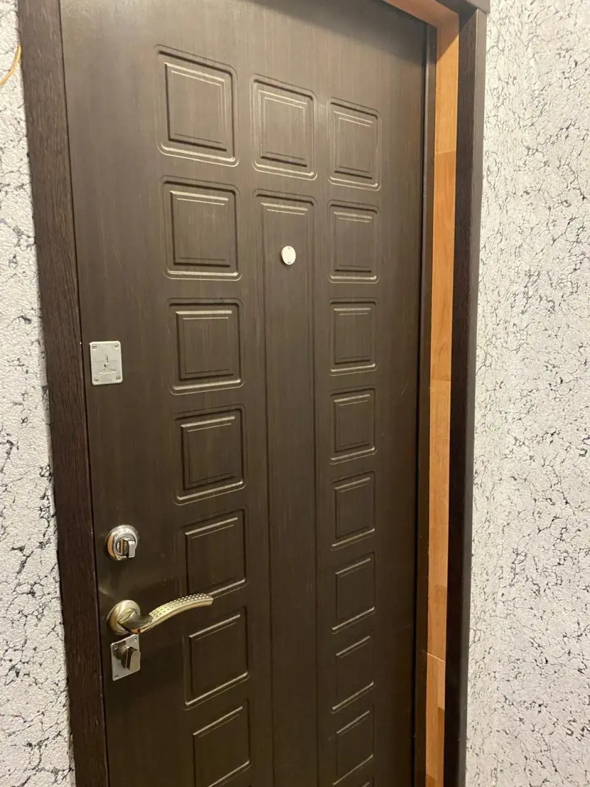 Квартира Большевиков 21А