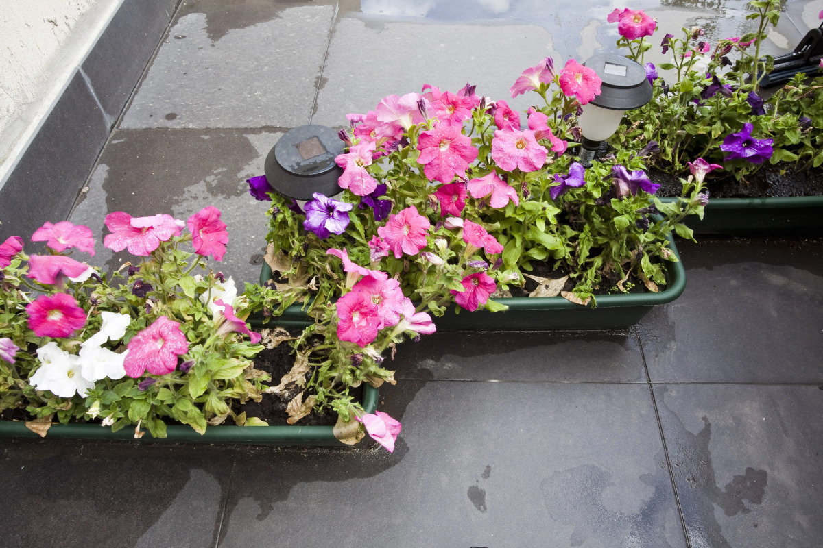 Апартаменты RentalSPb