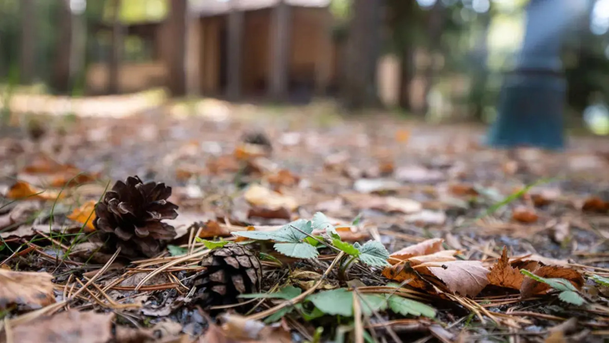 Отель База отдыха Заветное