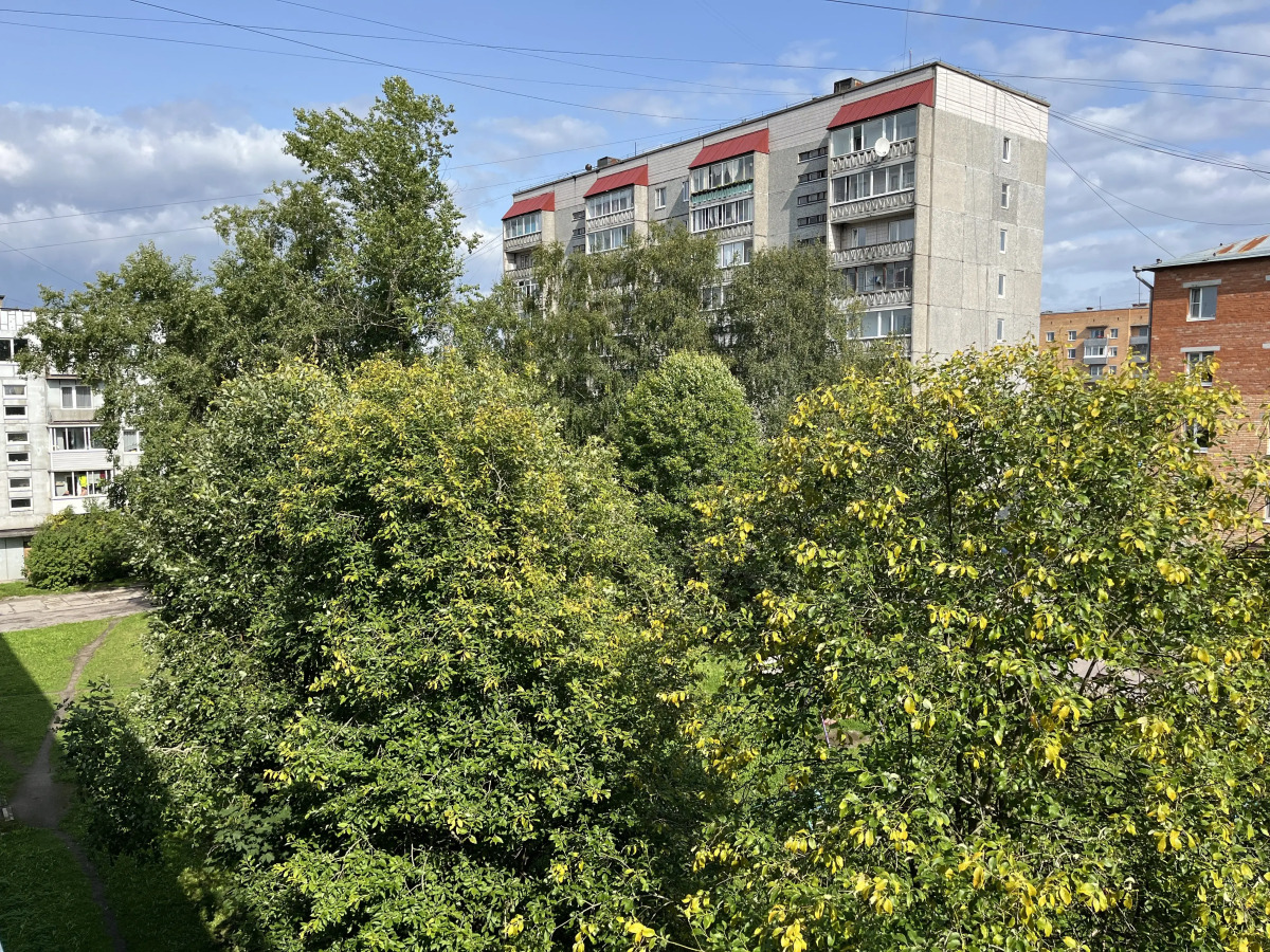 Квартира Победа