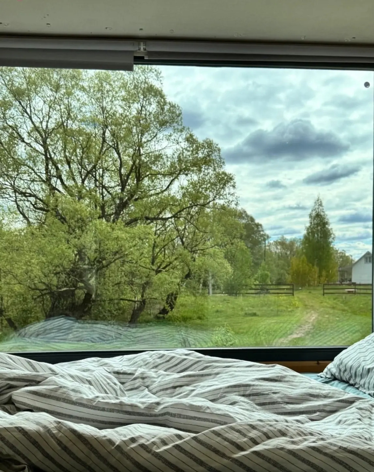 База отдыха Лес и Луга