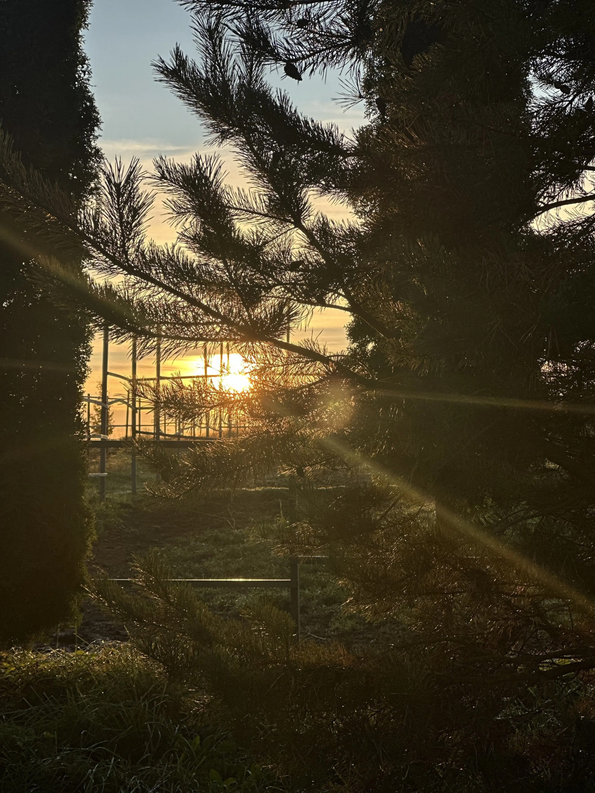 Гостевой дом Первая лошадь