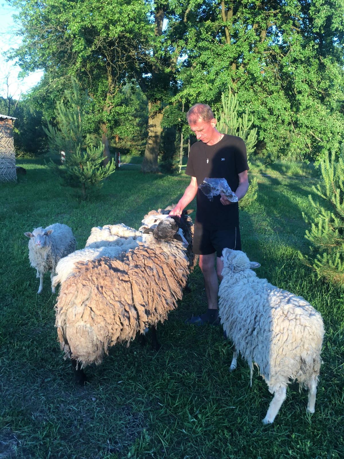 Гостевой Дом агроусадьба постоялый двор Багнюки