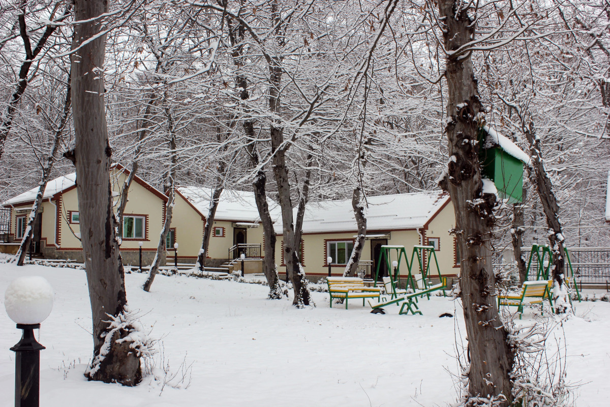 Отель Selena Resort