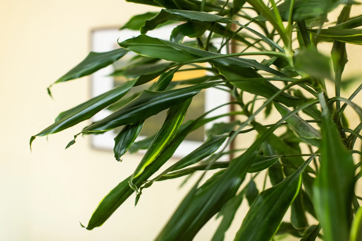 Апартаменты Никитский Бульвар 9