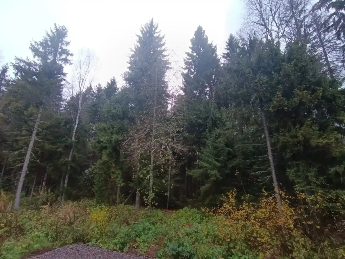 Гостевой дом Inkeriloft