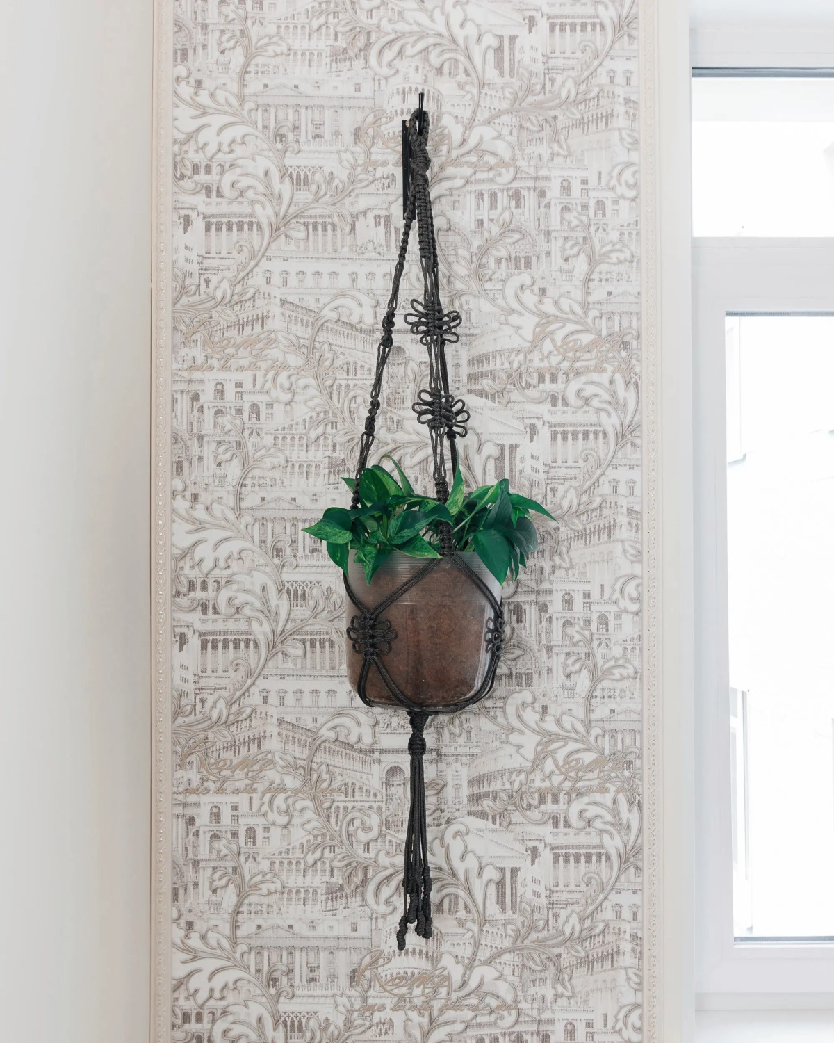 Гостевой дом Континенталь Green Dream