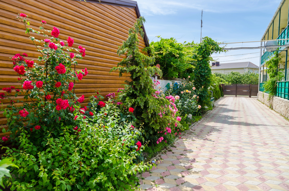 Гостевой Дом Гелиос