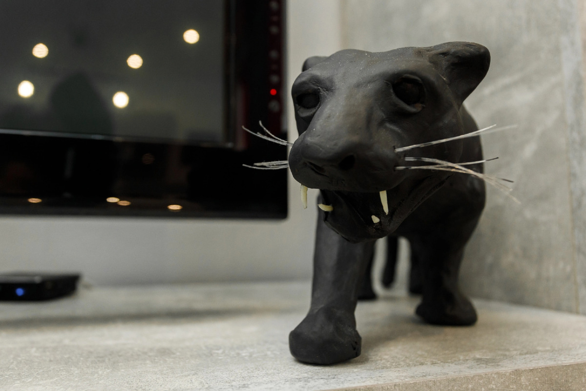 Апартаменты Radius Central House c компанией Домашний Уют 2