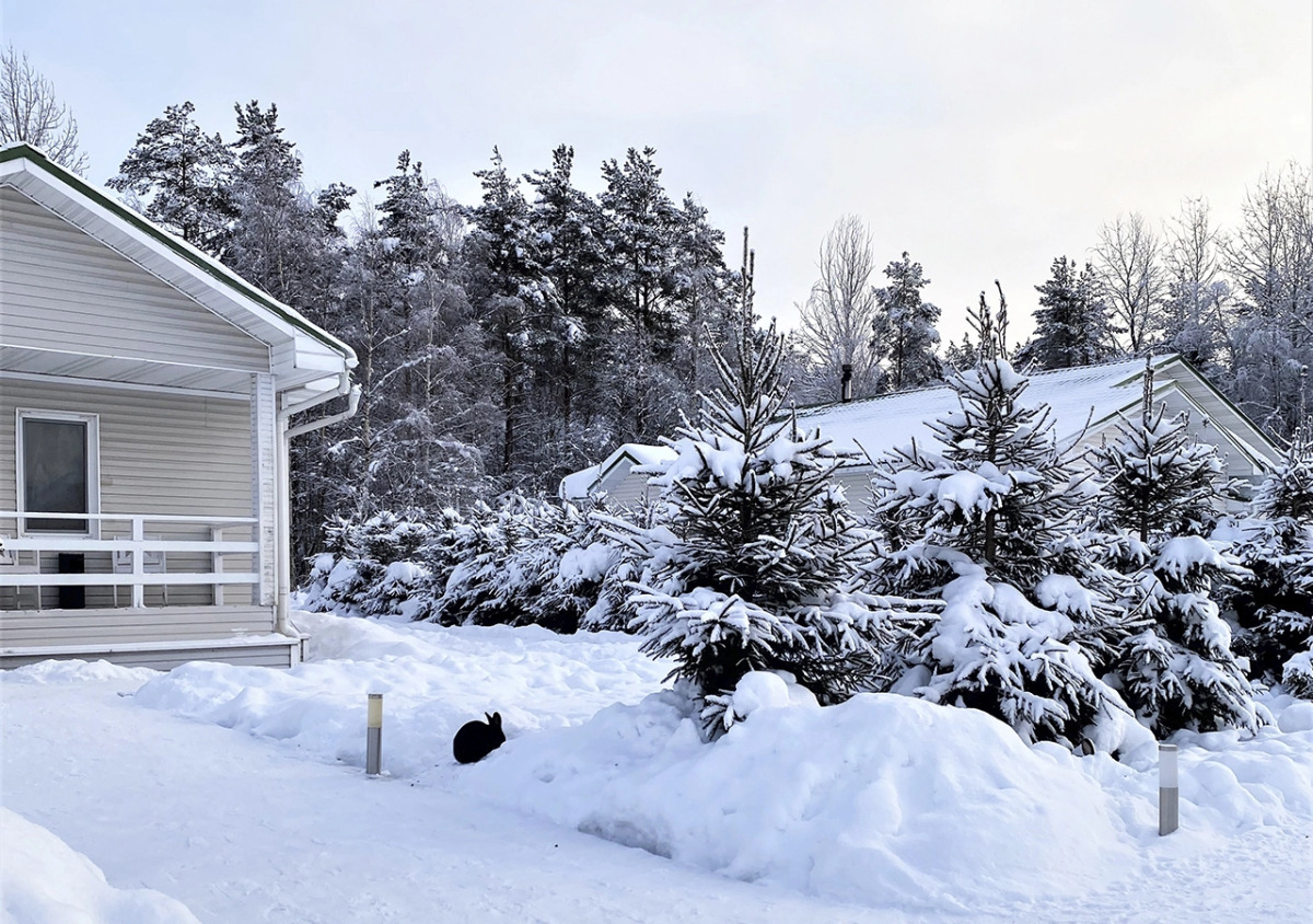 Отель Старая Слобода