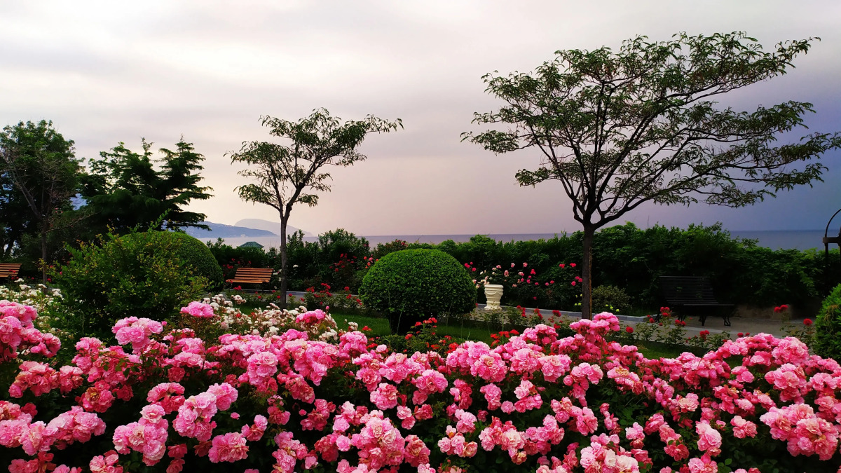 Отель Пальмира Палас