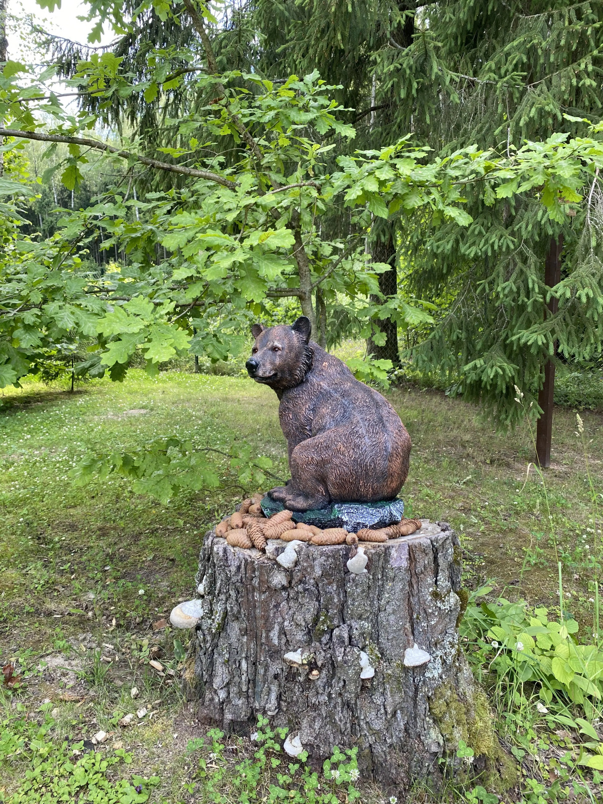 Частный Дом Уютный Домик в Лесу у Пруда